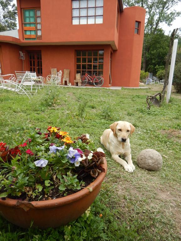 Jujuy Casa Pueblo