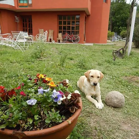 Hotel Jujuy Casa Pueblo San Salvador de Jujuy Exterior foto